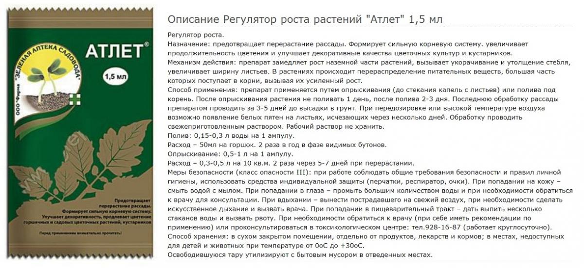 Атлет для рассады что это Атлет для рассады что это