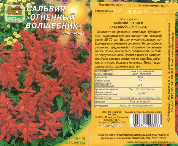 Сальвия Огненный Волшебник 0,1 Г Нашсад