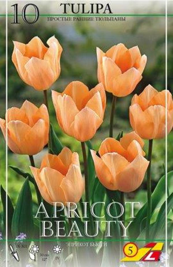 Эприкот Бьюти 11/12 10 Шт. Прост. Р. Абрик.-Крем.