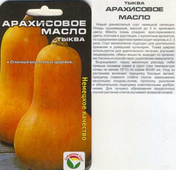 Тыква  Арахисовое Масло. 3 Сем Сибсад