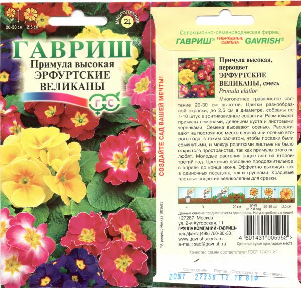 Примула Эрфуртские Великаны 20Шт. Гавриш