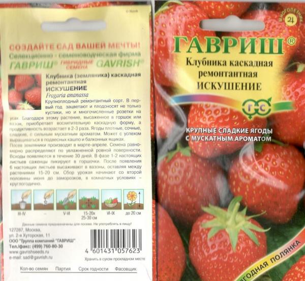 Клубника Искушение Амп. Пробирка 10Шт. Гавриш