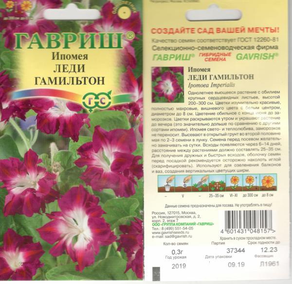Ипомея Леди Гамильтон, Махр. 0,3 Г  Гавриш
