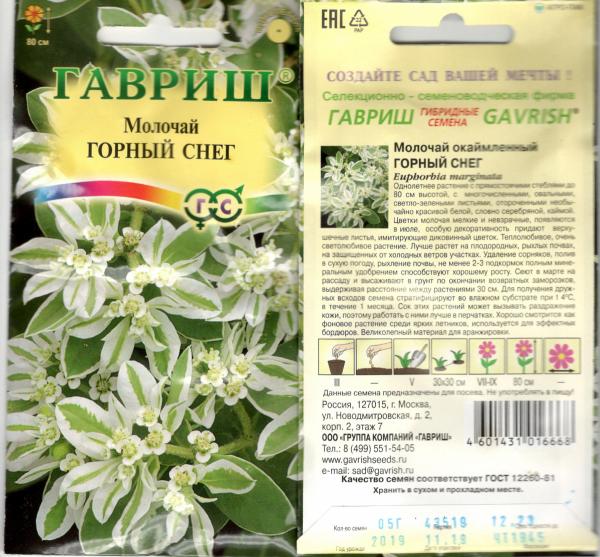 Молочай Горный Снег, Окаймлённый 0,5 Г Гавриш