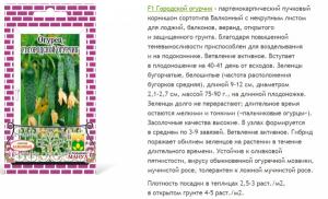 Огурец Городской Огурчик F1 Парт.12Шт. М