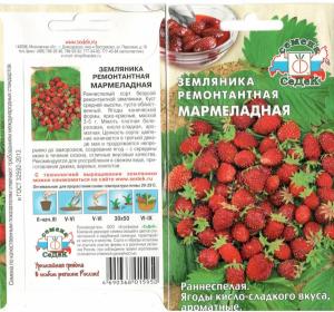 Земляника Мармеладная, Ремонтант. 0,04 Г  Седек