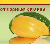 �������� ������
