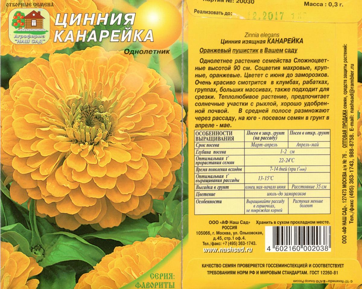 Схема посадки цинии