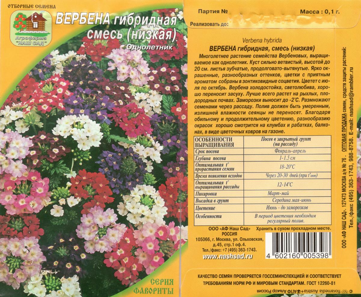 Сколько дней всходит вербена. Вербена гибридная семена. Вербена гибридная смесь сортов. Вербена цветок ампельная семена. Вербена Эйрена гибридная.