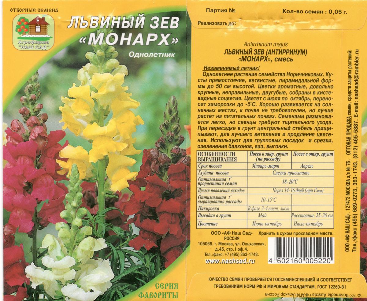 Сколько всходит львиный зев. Антирринум карликовый львиный зев. Цветы Антирринум карликовый смесь. Львиный зев Твинни семена. Антирринум (львиный зев) высокорослый смесь 0,05г Гавриш.