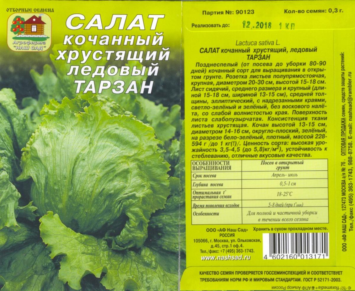 Схема посадки салата кочанного салата