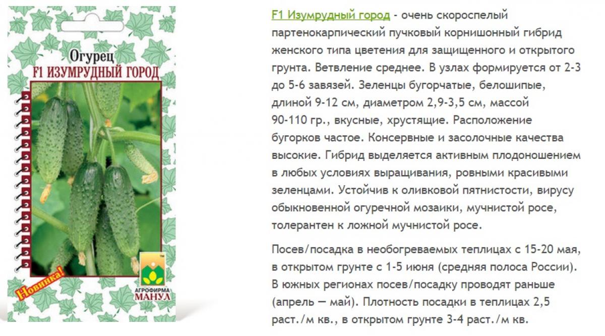 Огурцы Изумрудная Сережка Отзывы Фото