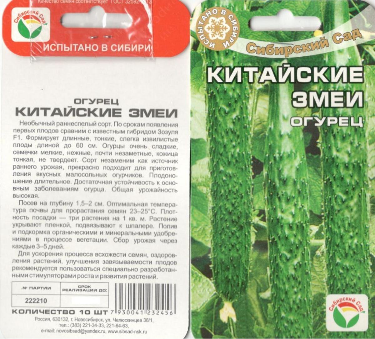 Огурцы Змея Фото