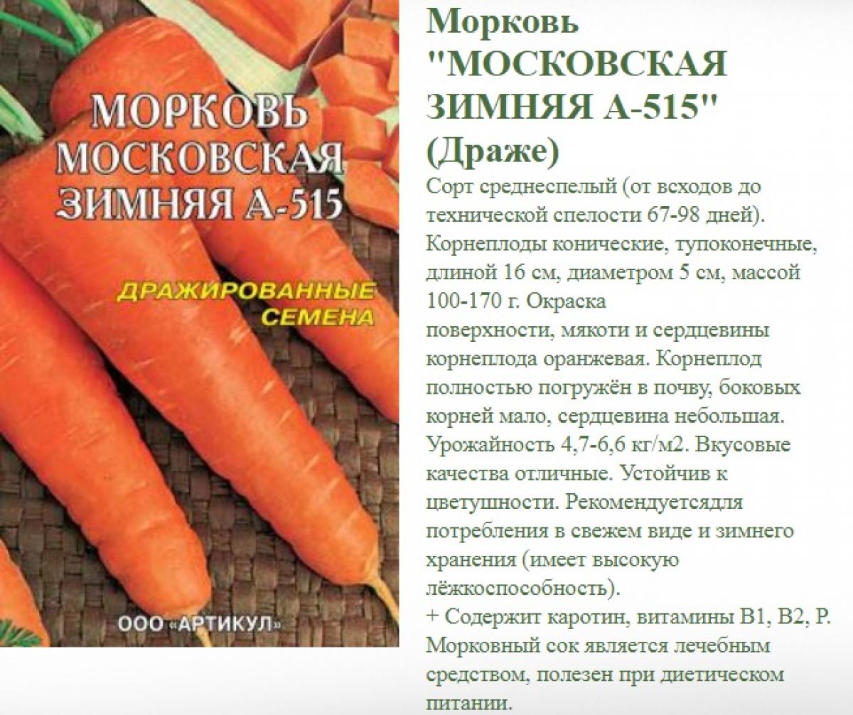 Характеристики Моркови Фото
