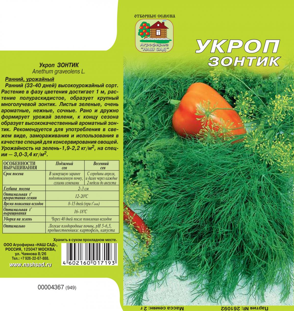 Укроп кустовой сорта. Сорта укропа. Раннеспелые сорта укропа. Укроп низкорослый сорт. Укроп сорта на зелень.