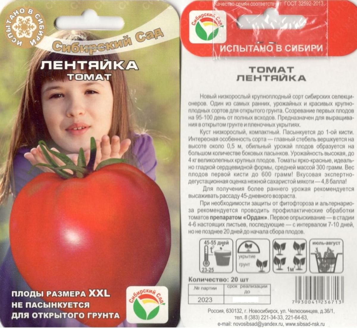 Сорт Помидор Лентяйка Фото