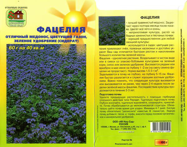 Схема посадки фацелии
