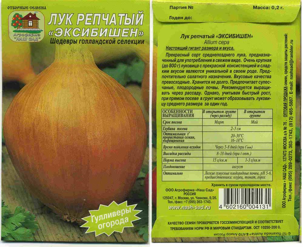 Лук эксибишен картинки