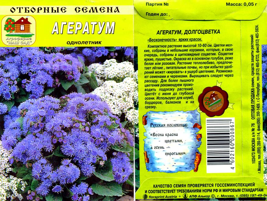 Агератум схема посадки