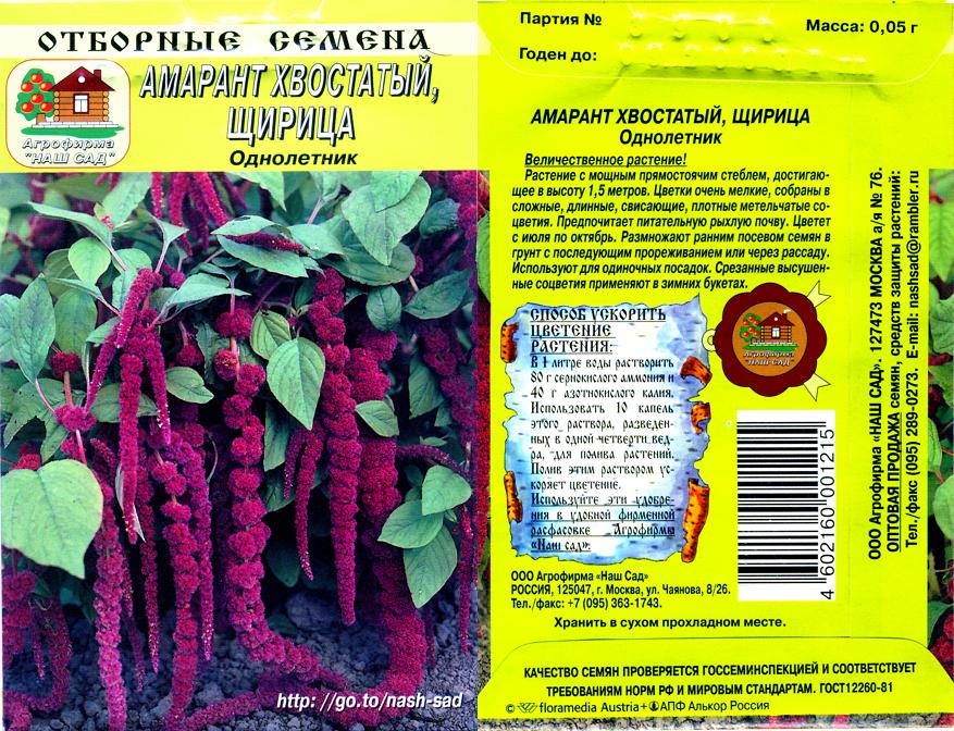 Амарант Растения Семенами Купить Семена