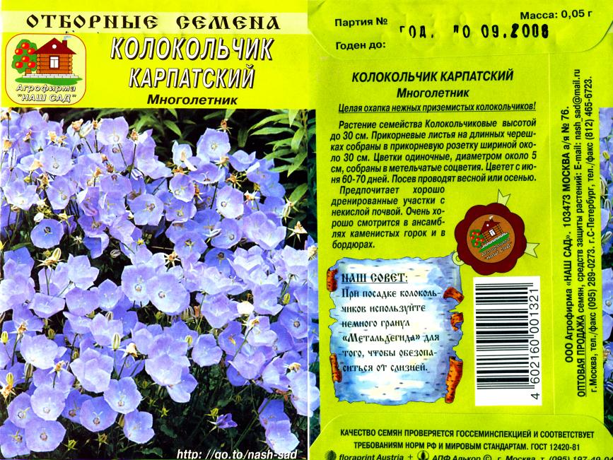 Кампанула Семена Купить В Интернет Магазине