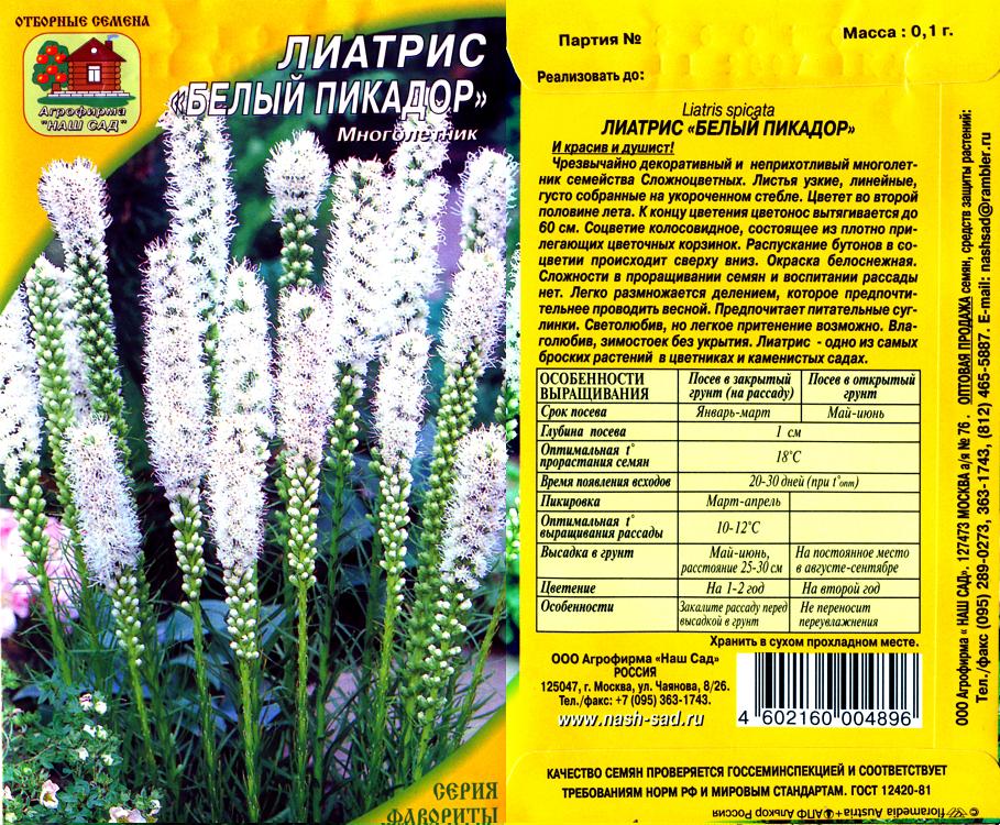 Леатриса таблетки отзывы. Многолетник Лиатрис с2l. Лиатрис колосковый семена. Карликовые сорта Лиатрис. Лиатрис сорта Пикадор.