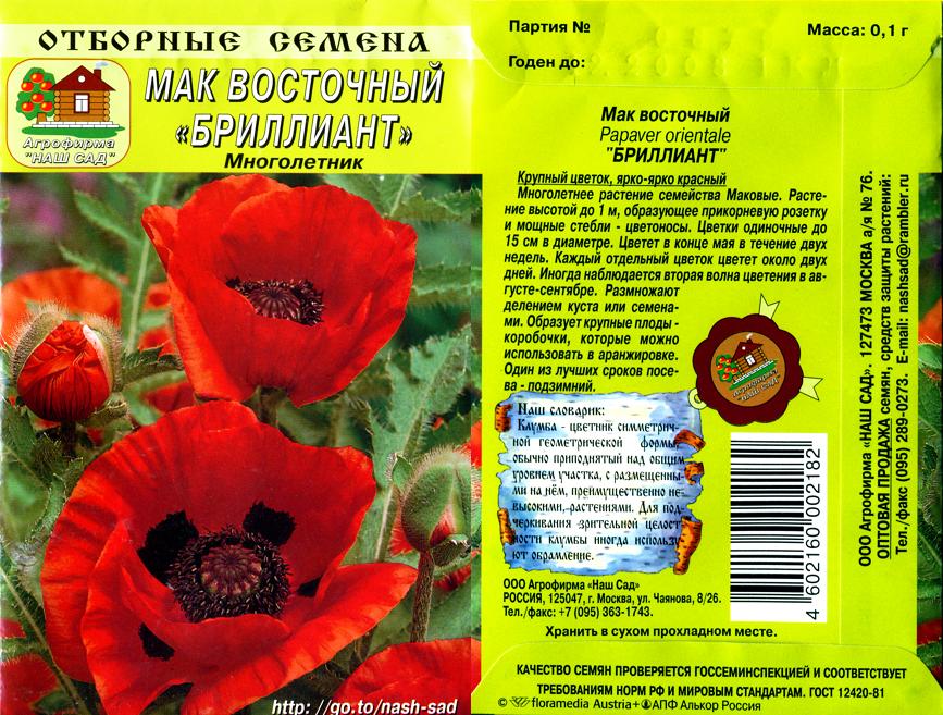 Мак Восточный Многолетний Купить Семена