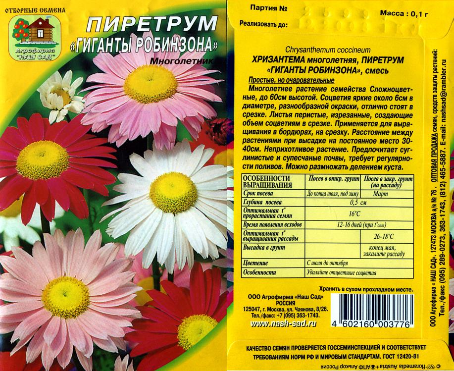 Далматская Ромашка Купить В Аптеке