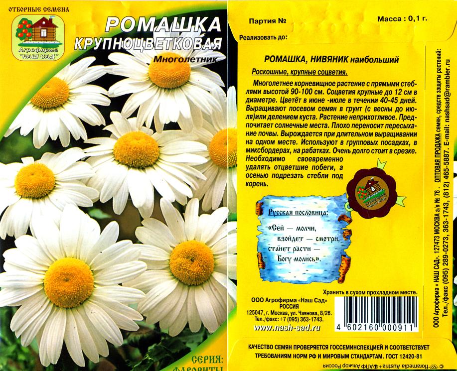 Далматская Ромашка Купить В Аптеке