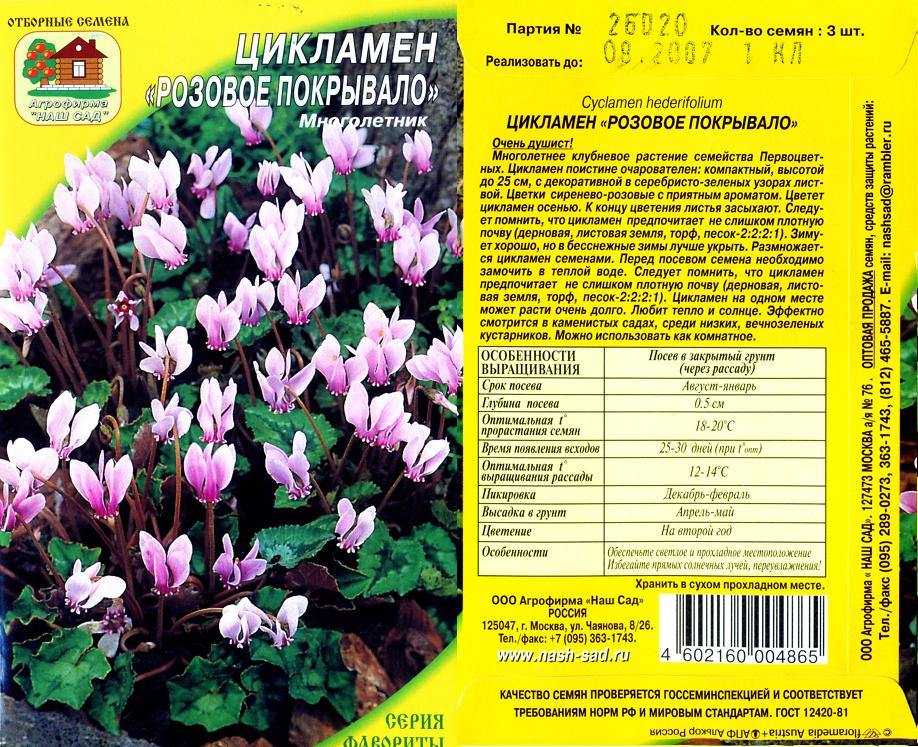 Купить Семена Цикламена Недорого